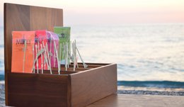 MΩLY „Energy“ – HoReCa-Kräutertee mit natürlichem Kräuterstamm