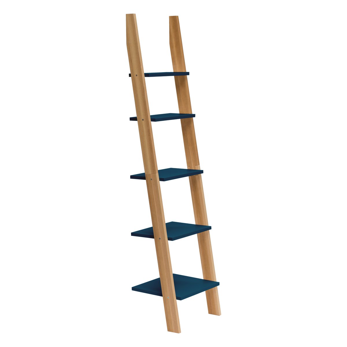 ASHME Laddershelf