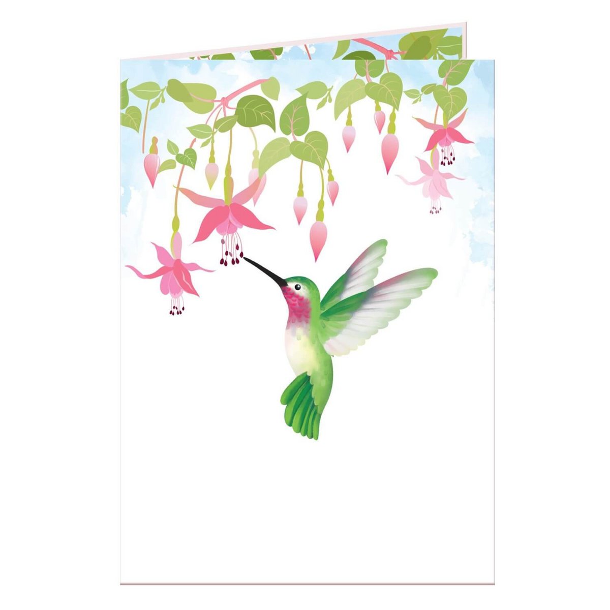 Hummingbird pop-up kort