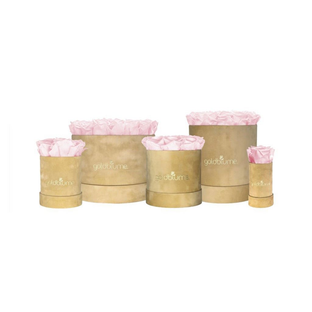 Colección Terciopelo Beige