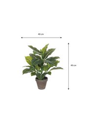 Kunstplant Evergreen Groen