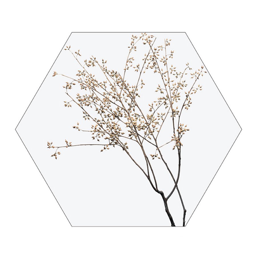 Hexagon dry plants