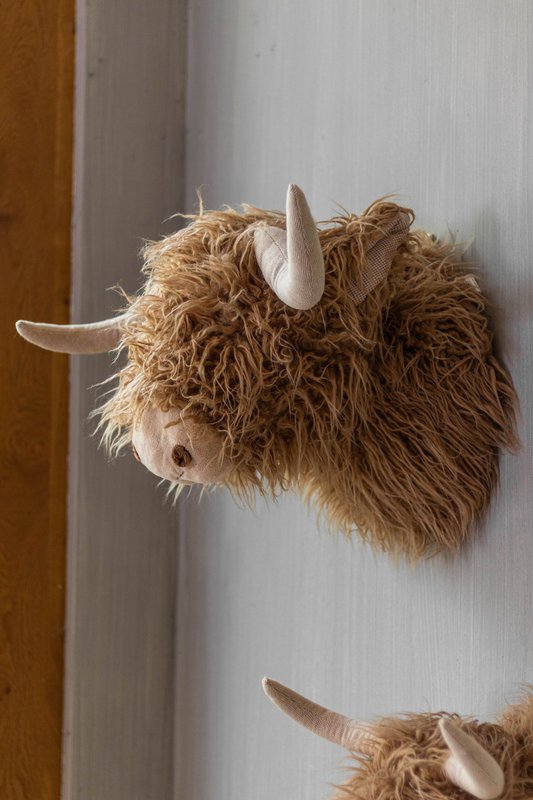 knuffel schotse hooglander wandkop braun 40cm