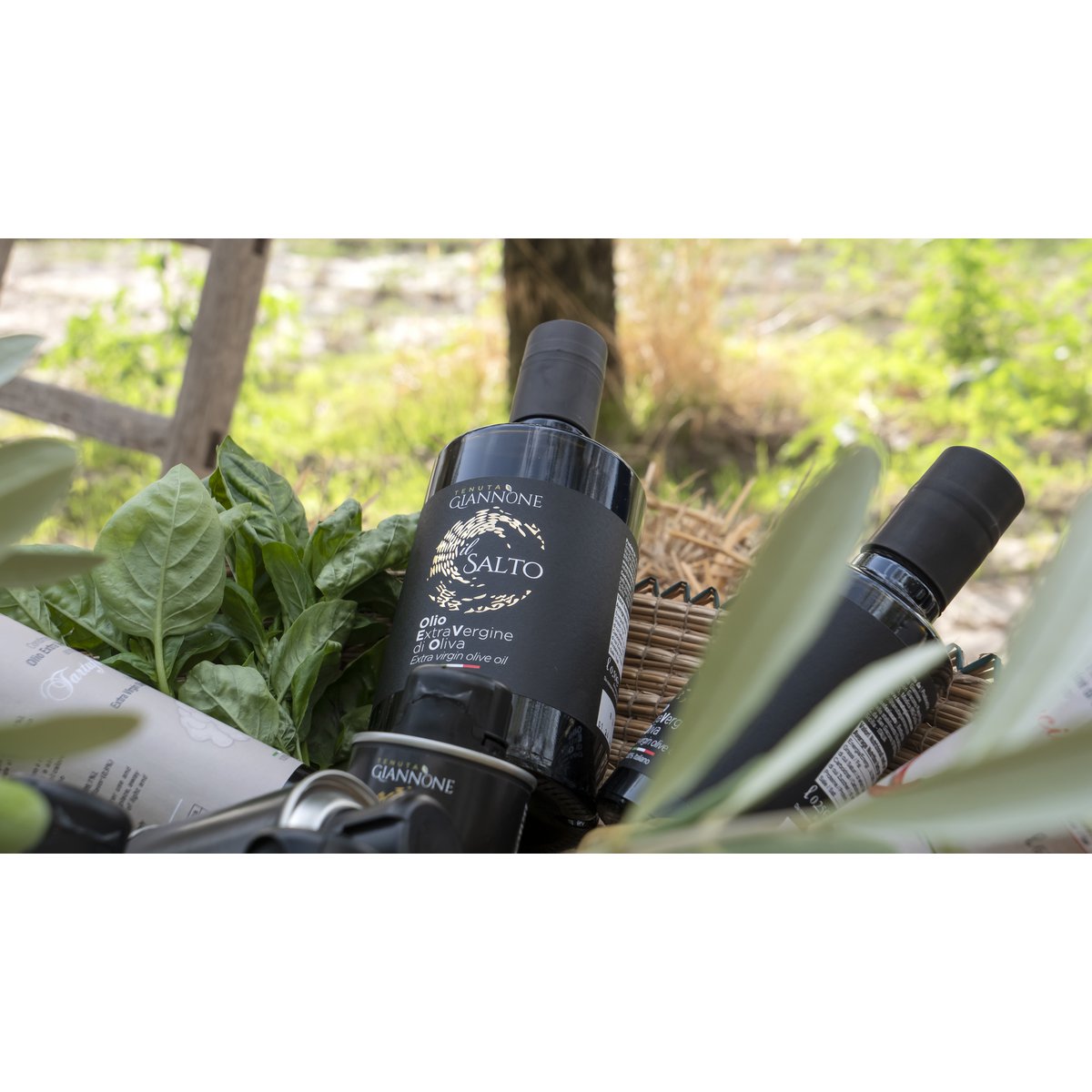 ITALIA | SICILIA | Extra Virgin Olive Oil - il SALTO | 500 ml