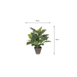 Kunstig plante Stedsegrøn Grøn