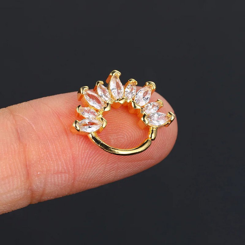 Rvs Hoop Earring Vrouwen Zirconia Crystal Piercing Oor Daith Helix Tragus Kwab Kraakbeen Stud Earring Piercing Sieraden
