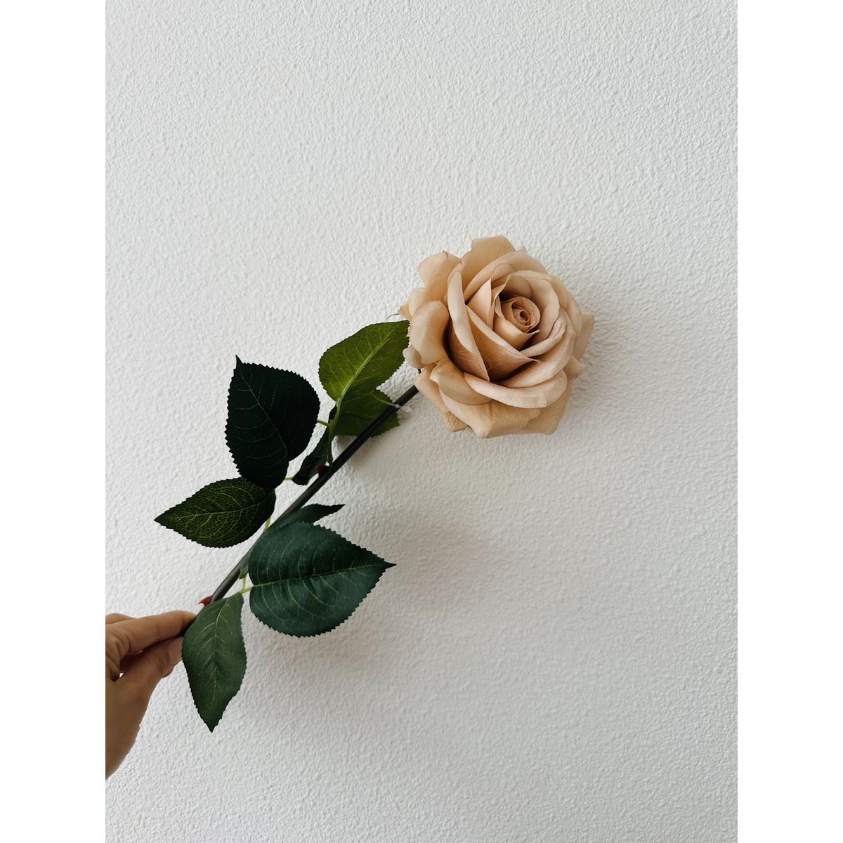 QMF Hand Touch Rose72cm Champagne 2STK