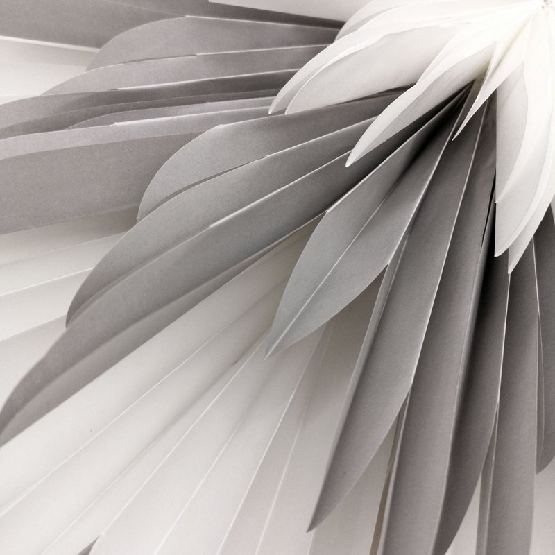 Stella-Dalia, parchment paper white-gray-white 60 cm
