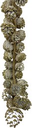 Weihnachtsdeko Girlande - Girlande weiß | 110cm | Extra lange Weihnachtsgirlande aus Naturmaterialien | Weiß