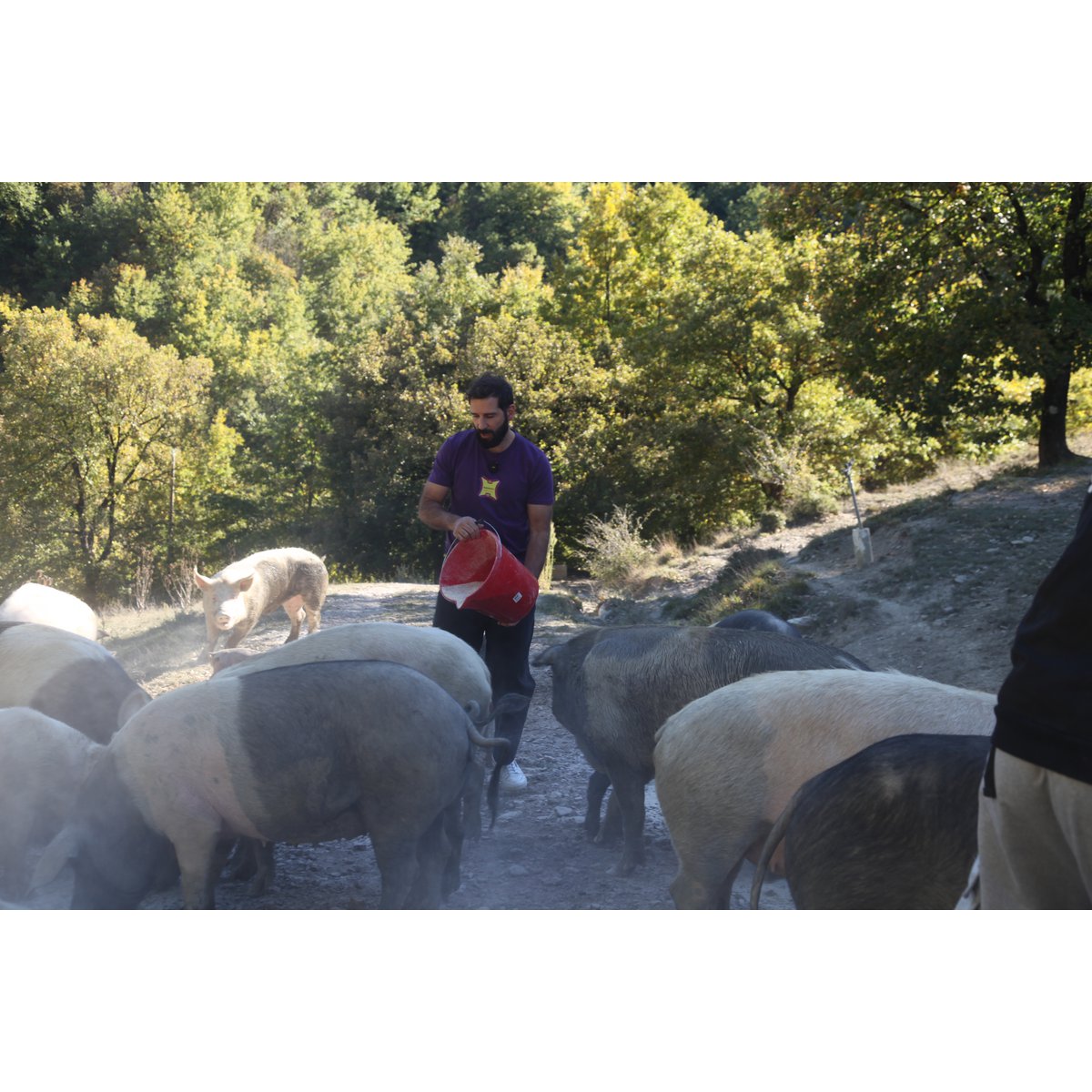 🇮🇹Wild Umbrische zwarte varkenswang - gekruid ambachtelijk gezouten vlees