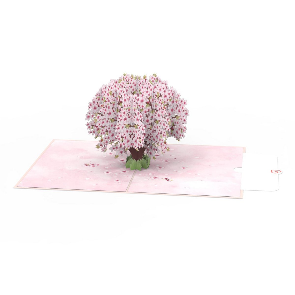 Kirsebærblomster træpop-up-kort