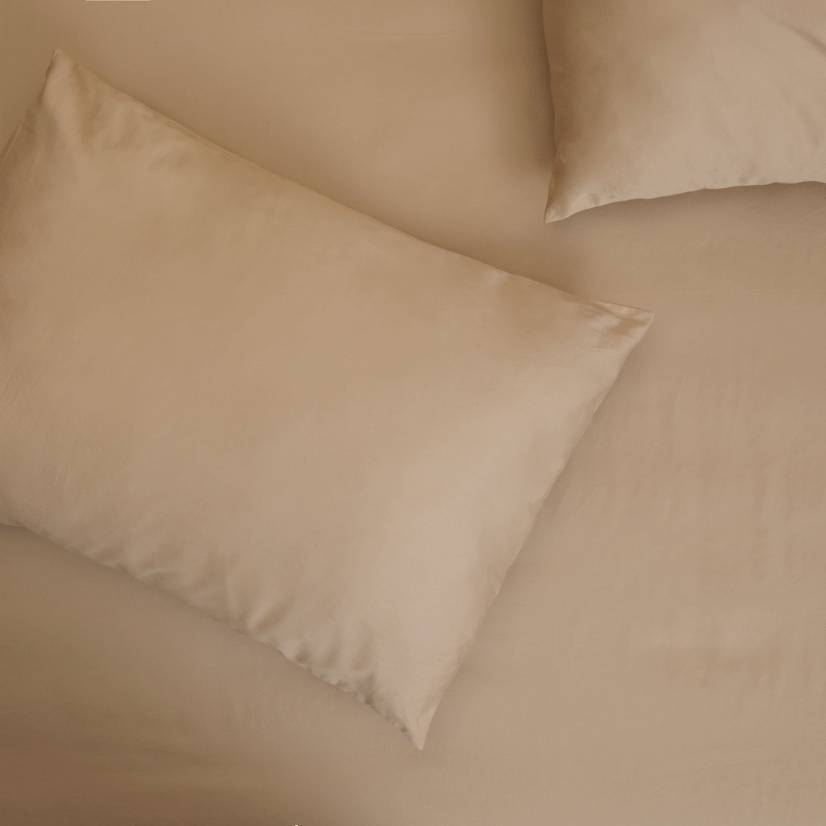 Housse de coussin - Satin de coton 400 fils au pouce - Beige S'il vous plaît !