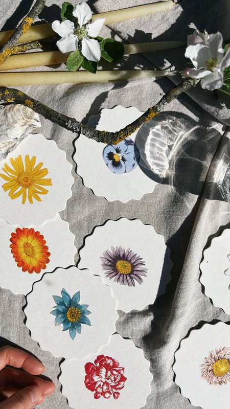 Coaster/Coaster 10 motifs flowers - 12 sets