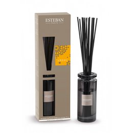 Esteban Classic Ambre Geurstokjes Initial - 100 ml