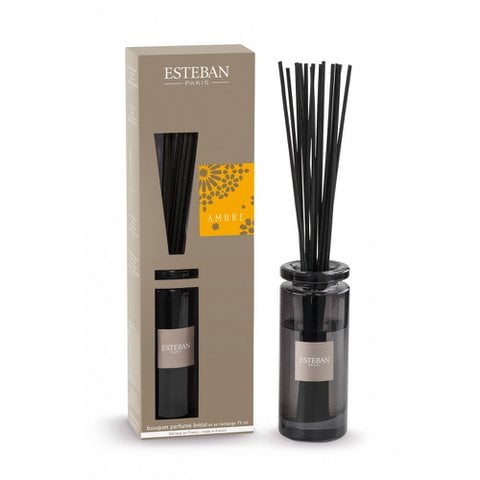 Esteban Classic Ambre Fragrance Sticks Initial - 100 ml