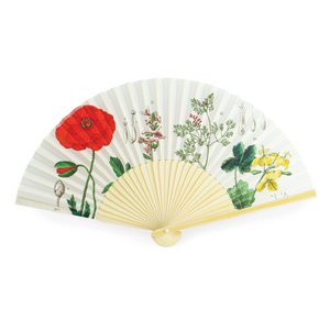 Fan , Poppy, Hortus Botanicus