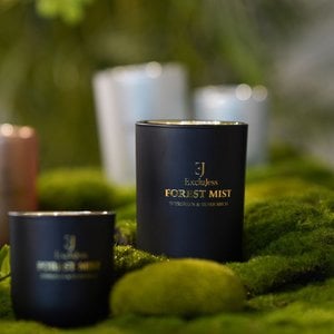 Forest Mist Scented Candle - Evergreen & Silver Birch