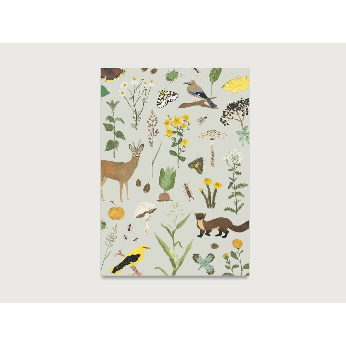 Ansichtkaart "On the Wiese" P_88 voor natuur, dieren, planten, boswachter, jager, natuurliefhebber || Hart en papier