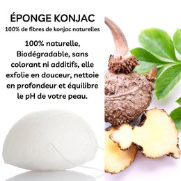 Zero waste classic natural konjac