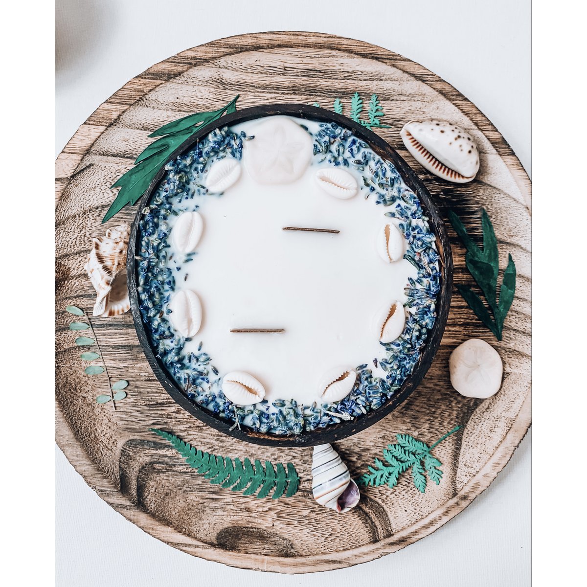Dollar des sables candle Size L coconut shell