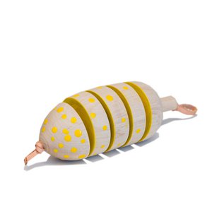 Katze Rassel