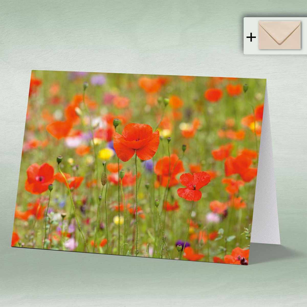 Carte de voeux, Double Card Eye8165 Wiedpil Wiese Mohn