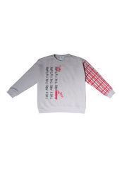 Gray sweatshirt with red plaid sleeve details and text graphic. Suitable for kids.