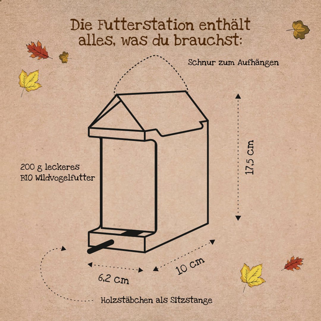 Freiluftbuffet Vögel BIO