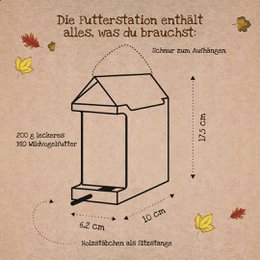 Freiluftbuffet Vögel BIO