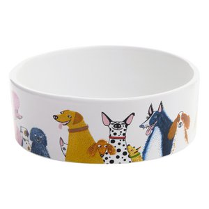 Dog Bowl Medium