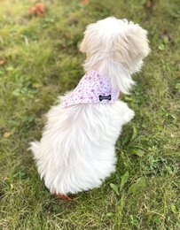 Bandana reversibile "la vie en rose" liberty/rosa