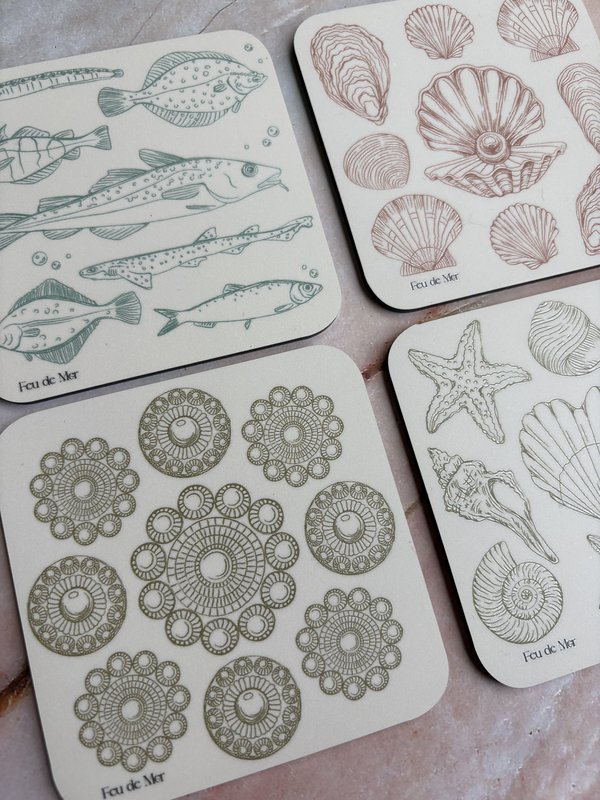 Coaster - Shells
