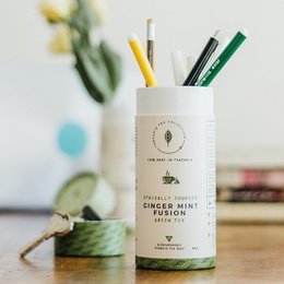 Ginger Mint Fusion