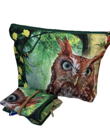 Evui - Owl and Vos in the forest