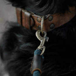 Justerbar hundesnor i snoet bomuld |  Midnatsblå