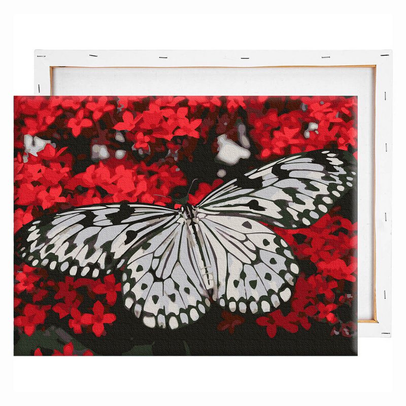 Mariposa en blanco y negro