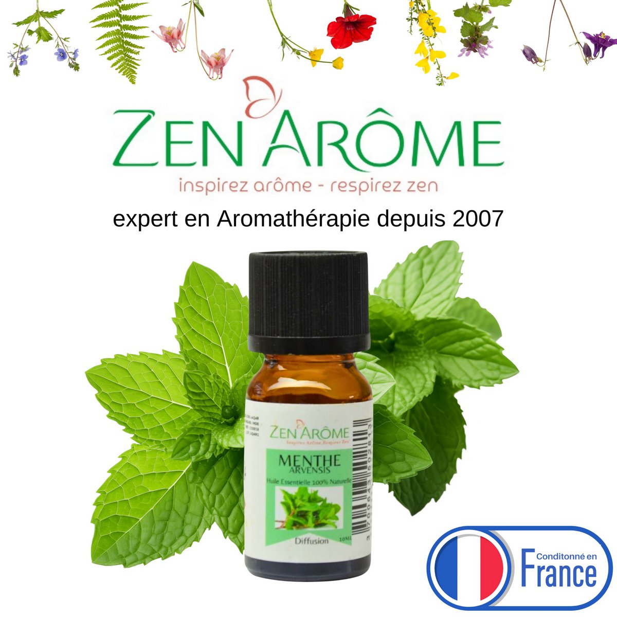 Etherische olie - Mint Arvensis - 10 ml - Gebruik voor diffusie - Verpakt in Frankrijk