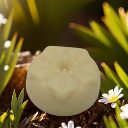 Body Butter Smok Blood