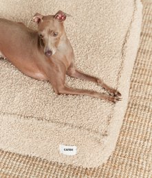 Hundeseng i beige fåreskind, Cuadra