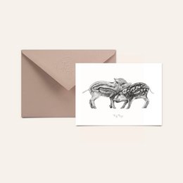 Wild pigs, postcard. Black and white sketch of two wild pigs on a postcard.