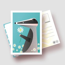 FLOWERS | FSC® postcards | Dutch Design