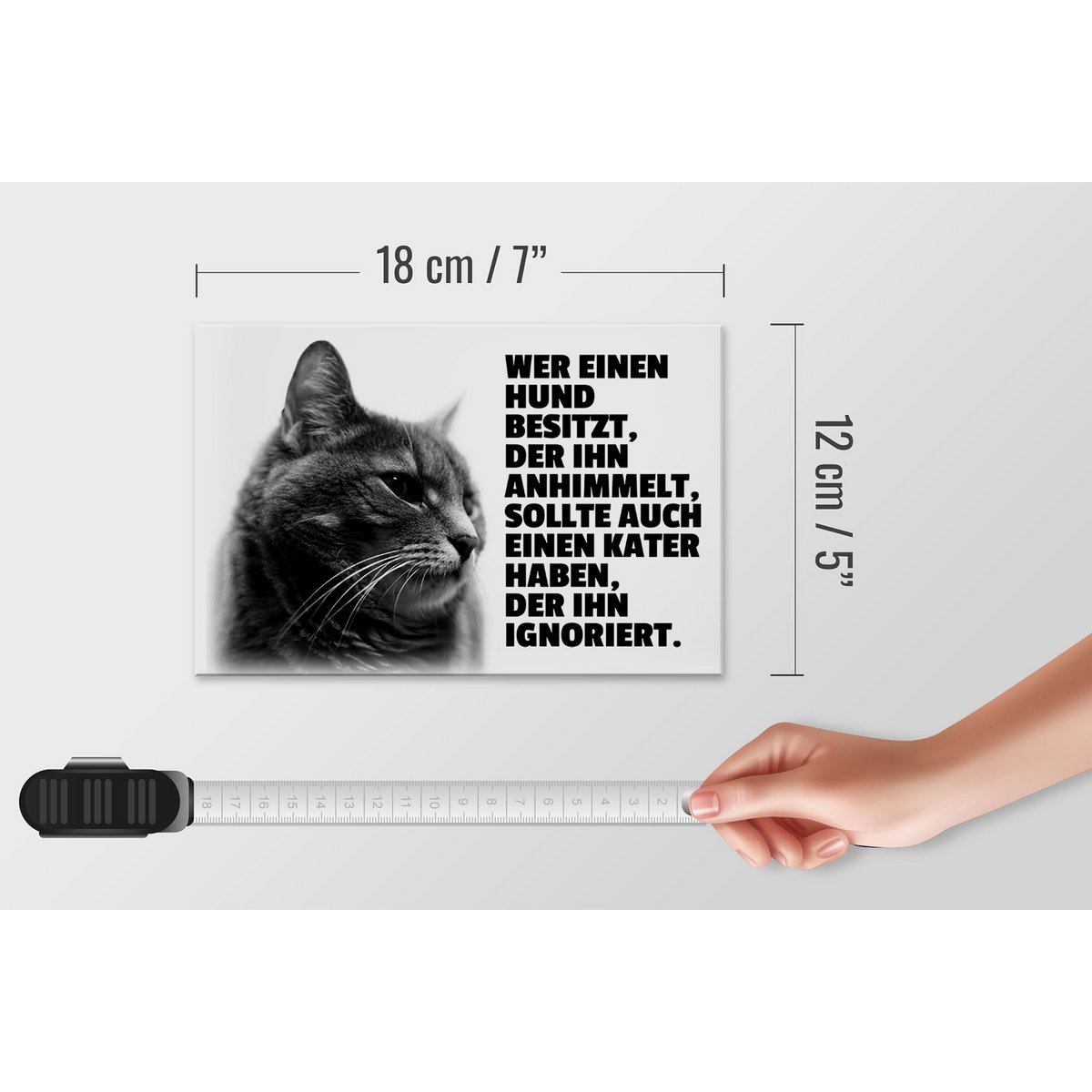 Tin sign saying 18x12cm dog heavens to hangover ignores decoration