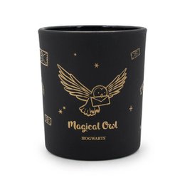 Duftkerze Harry Potter™ Búho Mágico Negro - 135g