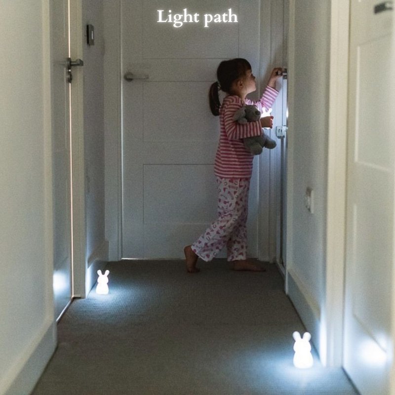 Path of Light - Rabbit Léo, Léni & Lila - Induction Refill - Color