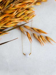 Delicate gold-toned necklace with intricate chain design, perfect for adding a touch of elegance to any outfit.