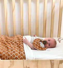 Pacifier / cuddle cloth 25x20 Once Upon a Dream Hazel Brown
