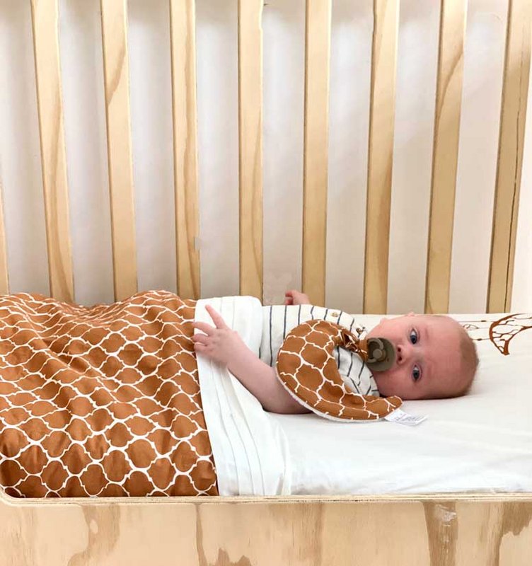Pacifier / cuddle cloth 25x20 Once Upon a Dream Hazel Brown