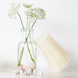 Raw Loofah | Durable sponge