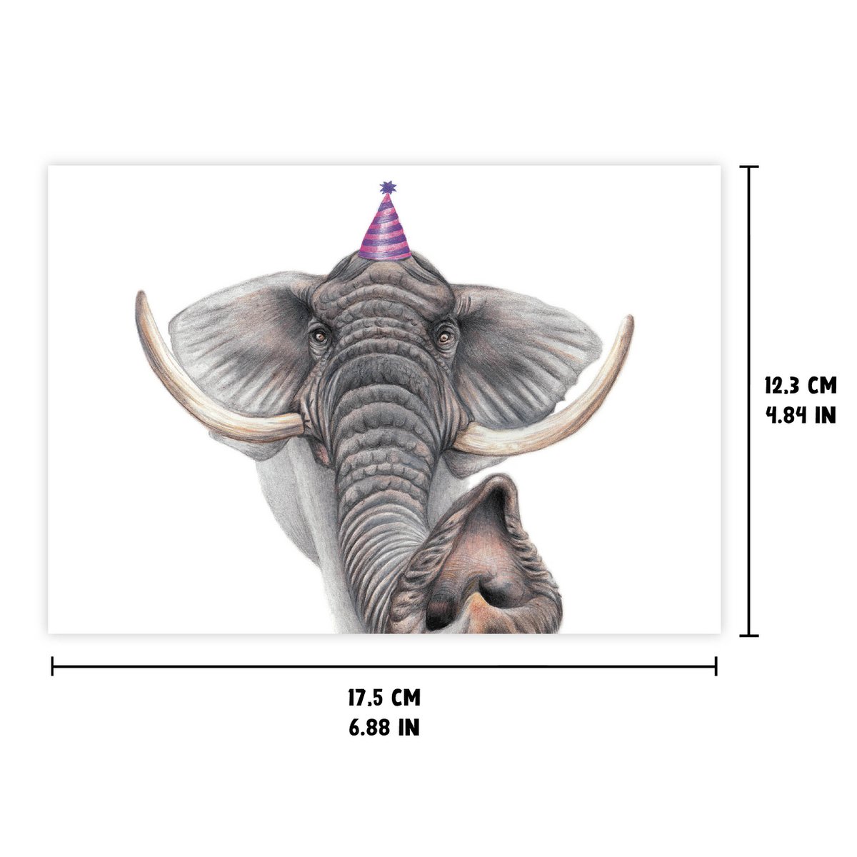 Funny Elephant Birthday Card, Greeting Card, 4.72'' x 6.69''