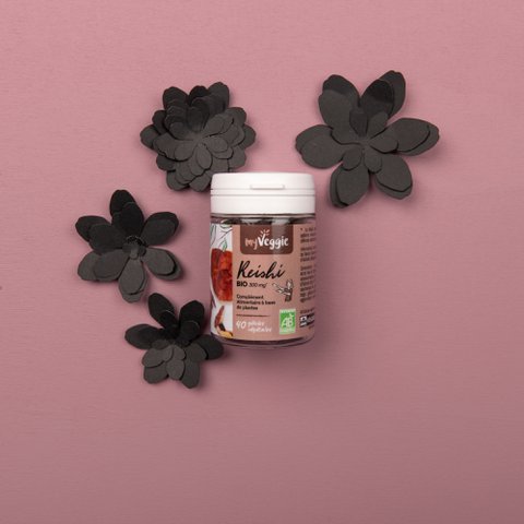 my Veggie Reishi BIO (pillendoosje 40 capsules)
